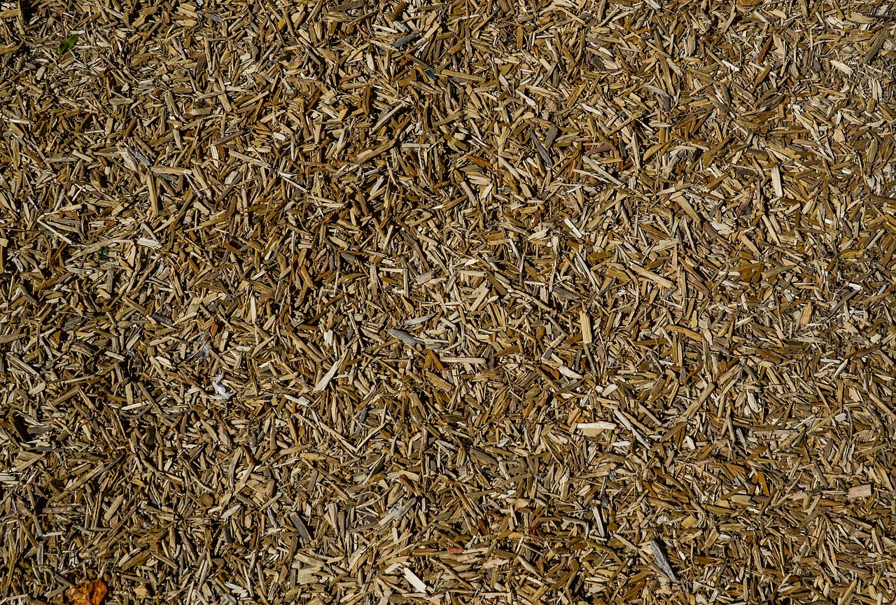 Pile of wood chips and soil left after grinding a stump