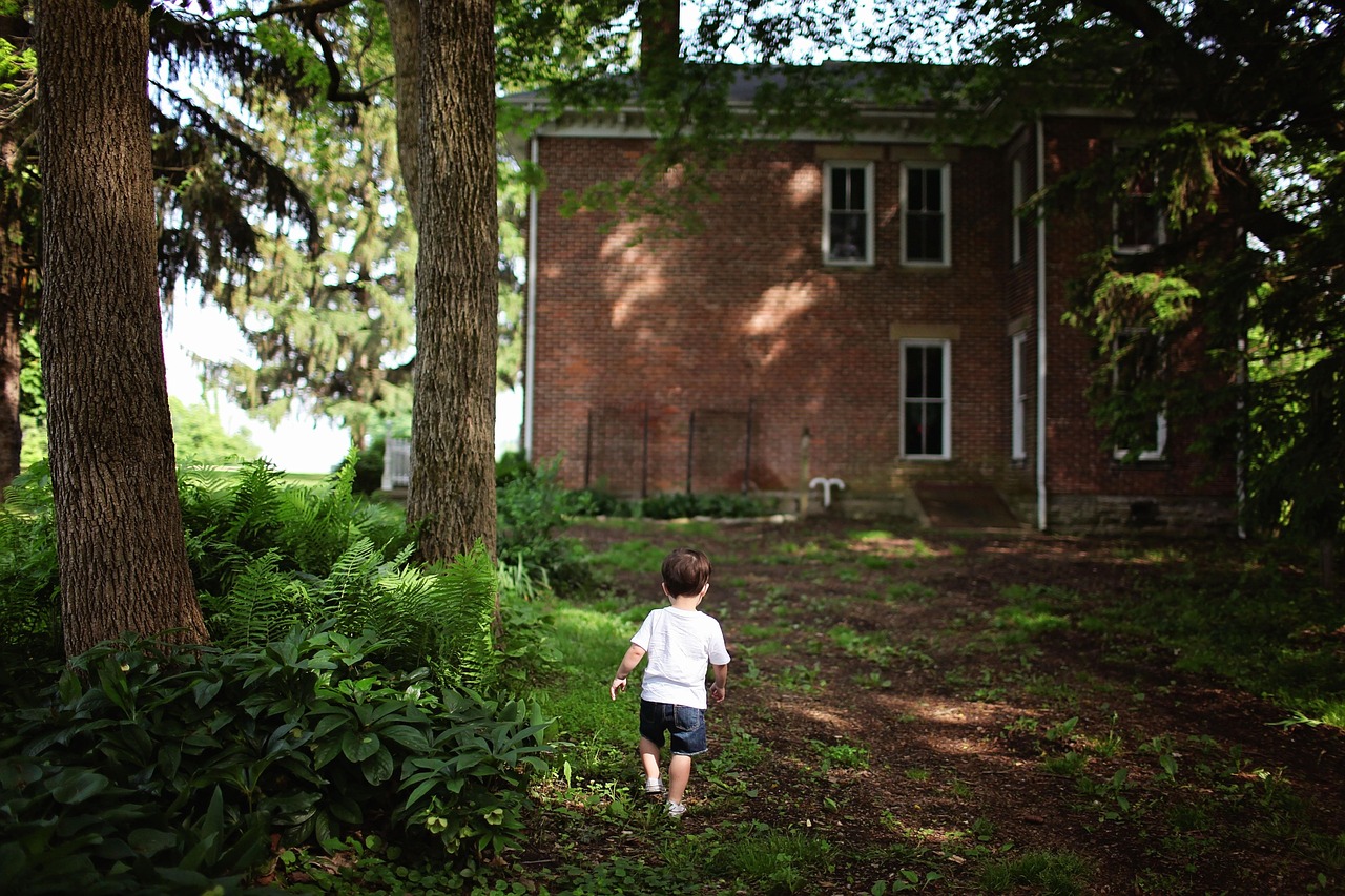 Mature tree rising above the rear walls of brick rowhouses