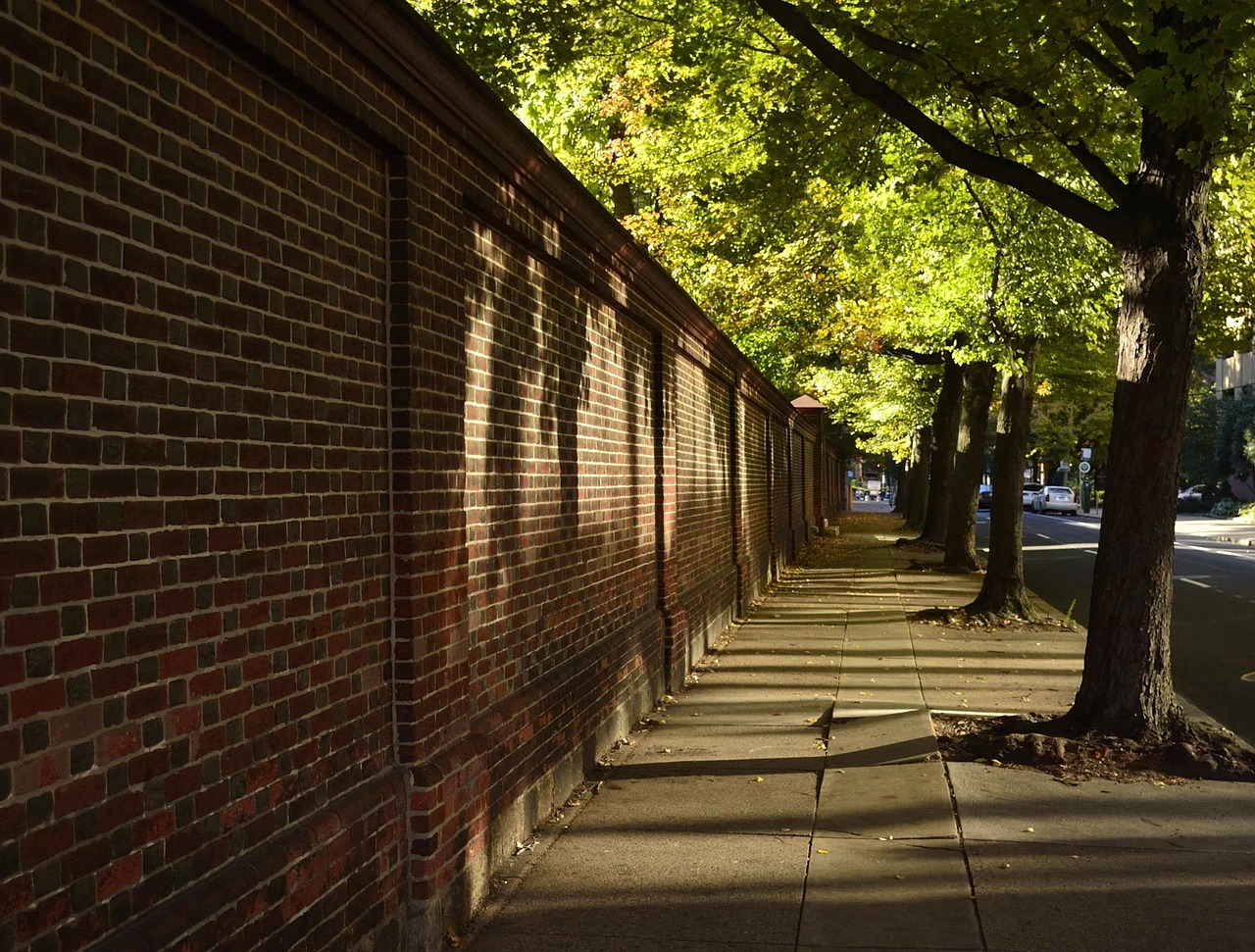 Row of leafy trees along a city street lined with brick homes